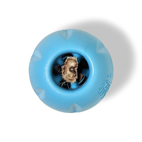 West Paw Zogoflex Qwizl Interactive Treat Dispensing Dog Puzzle Treat Toy for Dogs, 100% Guaranteed Tough, It Floats!, Made in USA, Large, Aqua Blue