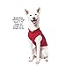 Gooby Fleece Vest Dog Sweater - Red, Small - Warm Pullover Fleece Dog Jacket with O-Ring Leash for Small to Medium Dogs
