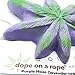 Dope on a Rope Soap, Hemp Soap, Antibacterial Soap, Hemp Soap, Purple Haze, Handmade Soap, Lavender Sage Essential Oils (Pack of 1)