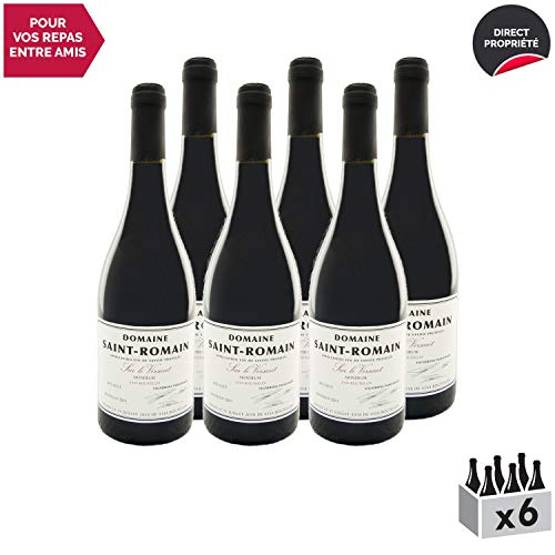 Vin de Savoie Mondeuse”Sur le Versant” Rouge 2017 – Domaine Saint-Romain – Vin AOC Rouge de Savoie – Bugey – Cépage Mondeuse – Lot de 6x75cl