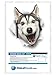 Winston & Bear 3D Dog Stickers - 2 Pack - Happy Husky for Wall, Fridge, Toilet and More - Retail Packaged Husky Wall Decals
