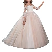 Abaowedding Lace Embroidery Sheer Long Sleeves Kids Trailing Gowns (Picture Color, 8)