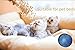Pet Hair Remover Reusable Lint Removal Fur Catcher Remove Hair from Dogs and Cats for Laundry Dryer, Furniture, Couch, Carpet, Clothing (Blue)