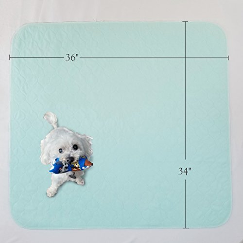 Kluein Pet Washable Puppy Pads, 2 Pack XL 34 x 36 Washable Dog Pee Pads