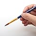 Dainayw Paint Brushes, Acrylic Paint Brush Set for Art Painting, Watercolor, Oil, Rock, Fabric, 12 Pieces