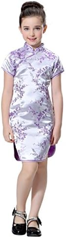 BitablueGirls Wintersweet Blossom Chinese Qipao Dress