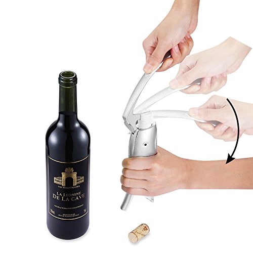 Red Wine Opener, Hi-Tech Premium Steel Corkscrew with Foil Cutter Holder and A Silicone Wine Bottle Stopper (Silver)