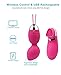 Bullet Vibrator - Kegel Weights Ball,Dual 10 Speeds Remote Control Ben Wa Kegel Exercise Balls Cordless Rechargeable Waterproof Electric Massager (Rose red)