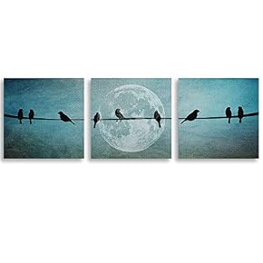 3 Piece Canvas Wall Art Brids Painting...
