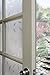 Artscape Etched Leaf | Decorative Privacy Window Film with Textured Glass Pattern | Non-Adhesive & UV Protection | Easy to Apply & Removable | 24 x 36 Inches | Made in USA