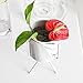 Topaty Iron Shelf Marble Succulent Plant Pot Cactus Pots Ceramic Pot Concrete Planters Modern Home Decor for Garden Decor (Gold,S M L) (M : 3.152.95/5.7inch)