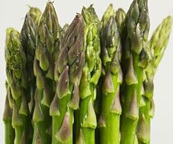 Asparagus Mary Washington Great Heirloom Vegetable