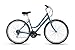 Detour 2 Step Thru Comfort Bike, 15″/SM Framethumb 4