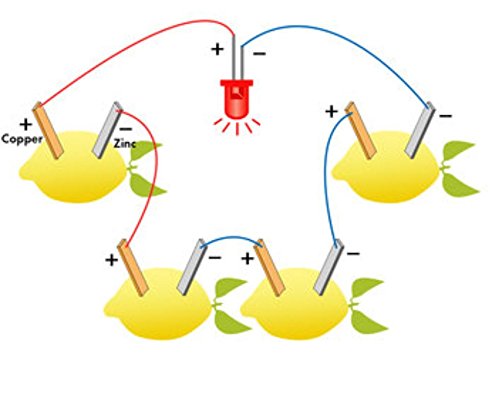 image for Fruit Battery Light Diode Science Kit Orange Potato Lemon Battery Phys