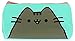 Pusheen® Pencil Case (Aqua) by 