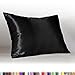 BLISSFORD Luxury Satin Pillowcase for Hair – Standard Satin Pillowcase with Zipper, Black (1 per Pack)