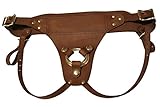 Ruffian Leather Strap-on Harness by Project TransAction (Small/Medium, Brown/Brass)