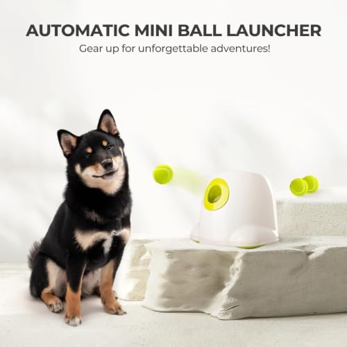 ALL FOR PAWS Automatic Dog Ball Launcher, Interactive Fetch Toy for Small to Medium Dogs, Pet Thrower Machine for Indoor & Outdoor Play, 3 Pcs 2-Inch Balls Included