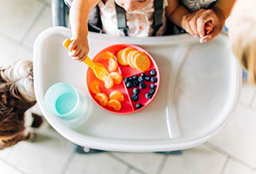 Safety 1st High Chairs for Babies and Toddlers, 3-In-1 Grow and Go with Tray and Adjustable Seat, Birchbark