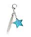 Feng Shui 2017 feng shui Heavenly Star Keychain
