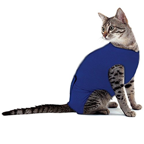 Cat Medical Vest Recovery Suit For Cats and Small Dogs Buy Online in