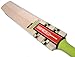 Gray-Nicolls Powerbow GN+ English Willow Cricket Bat, Full Size SH
