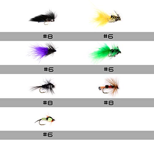 image for M MAXIMUMCATCH Maxcatch Fly Fishing Flies Kit Fly Assortment Dry/Wet F