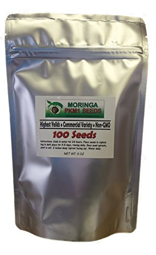 100 moringa oleifera pkm1 seeds + 20 bonus seeds! • c…