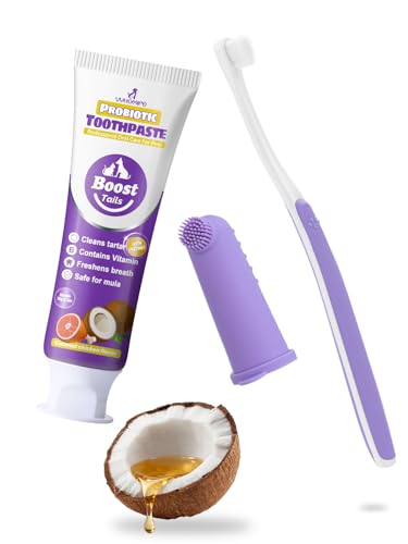 VVHOMIFE Cat Dental Kit