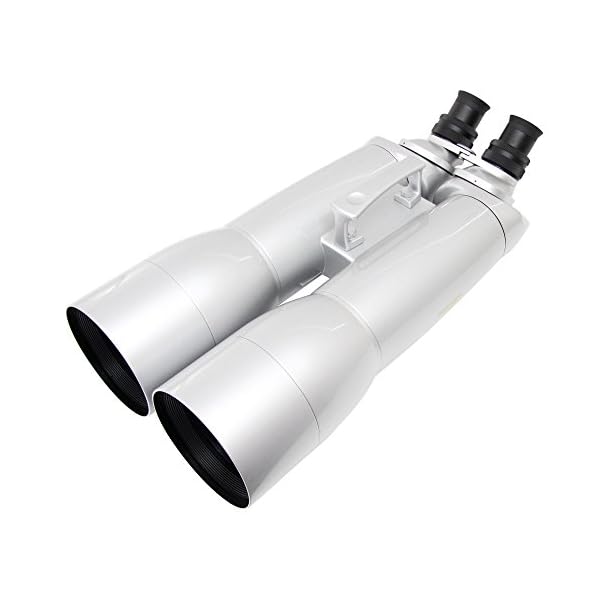 Omegon Fernglas Nightstar 20+40x100 Triplet mit wechselbaren Okularen