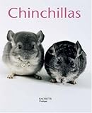 Chinchillas by 
