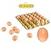 Toyrifik 30 Fake Chicken Eggs on Tray Realistic Egg Toy Food Playset for Kids - Pretend Play Artificial Kitchen Foods - Faux Eggs Home Decor