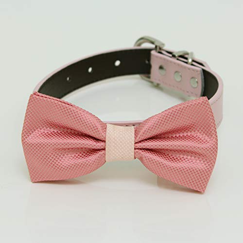dusty rose dog collar