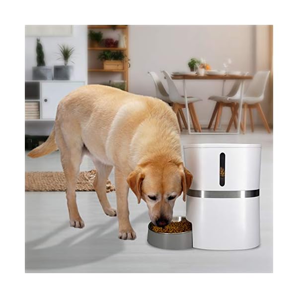 a36 automatic pet feeder