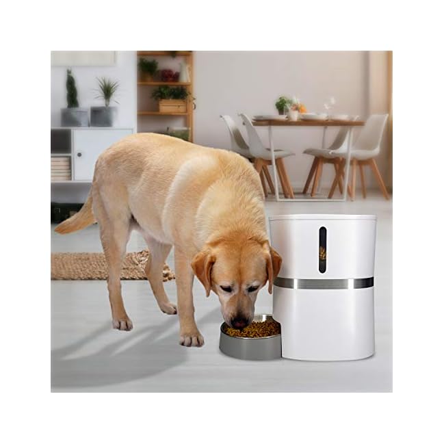 Honeyguaridan A36 Automatic Pet Feeder Dog Cat Rabbit Small
