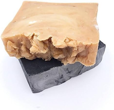 Large Soap Gift: Handmade, Organic all Natural Black Charcoal Activated Bamboo & Wild Chaga Mushroom Soaps. Raw Shea/Coconut Butter & Essential Oil Face & Body Bar for Acne & Skin Detox. Pure Vegan.