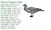 Wood Pigeon Decoy -  6-Pack Foldable Wood Pigeon for Hunting -  Land and Water Use -  Waterproof, Shot-Proof -  Realistic UV Certified Decoy Paints -  Includes Anchors, Anchor String and Fudslinger