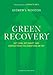 Green Recovery: Get Lean, Get Smart, and Emerge from the Downturn on Top - Book by Andrew Winston