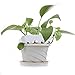 KINGLAKE 100 Pcs White Plastic Plant Labels Waterproof T-Type Plant Tag Nursery Flower Garden Labelsthumb 3