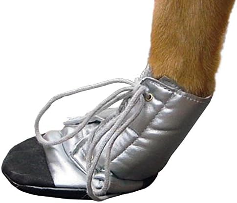 Beeztees Protective Shoe