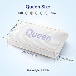 inight Pillows Queen Size Set of 2, Queen Memory