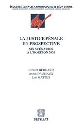 La  justice pénale en prospective