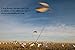Sillosocks Flapping Snow Goose Decoy, White