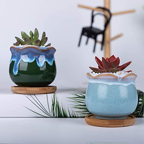Ceramic Succulent Planters Garden Pots DAFFBOX 2.75 Inch Small