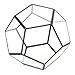 Koyal Wholesale Geometric Terrarium Glass Table Decoration, Planter for Succulents, Cactus, Air Plants, Indoor Plants, Outdoor Plants (Pentagon, Black)