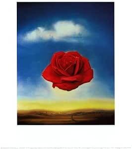 Download Amazon.com: Rose Meditative, c.1958 Art Poster Print by Salvador Dalí, 11x14 ists Art Poster ...