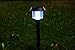 Solario Garden Decor Solar Powered Stake Lights- Pack of 6- Decorative Classic Lamps- Highest Lumen LED Brighter Than Standard- Superior Monocrystalline Panel (Black)