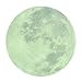 WINOMO Full Moon Wall Stickers Glow in The Dark Light Luminous Wall Art Decals for Home Room Decor(Grey)