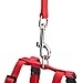 PUPTECK Adjustable Cat Harness and Leash Set Escape Proof Kitten Strap Collar for Walking Travel, Red