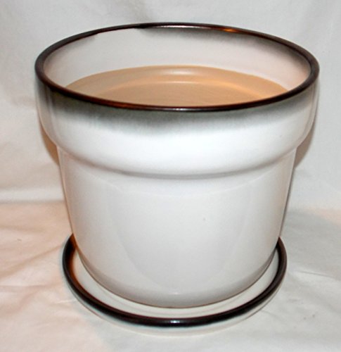 New 6" White with Charcoal Trim Prosperity Ceramic Planter Plant Pot & Saucer ~ Decorative New 6" White with Charcoal Trim Prosperity Ceramic Planter Plant Pot & Saucer ~ Decorative